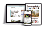 Nynäshamns Posten Digital Premium 3 mån